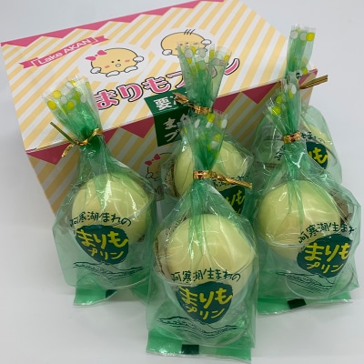 阿寒湖銘菓まりもプリン5個入×2 ふるさと納税 菓子 F4F-1866