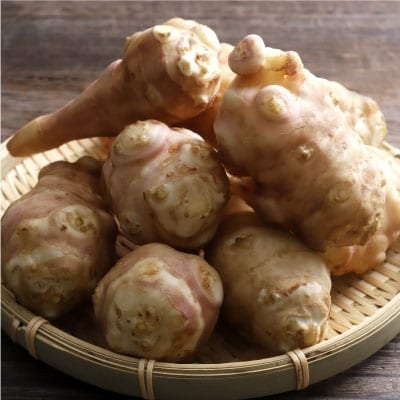 【10月下旬頃より順次発送】生菊芋 F4F-3261