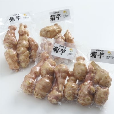 【10月下旬頃より順次発送】生菊芋 F4F-3261