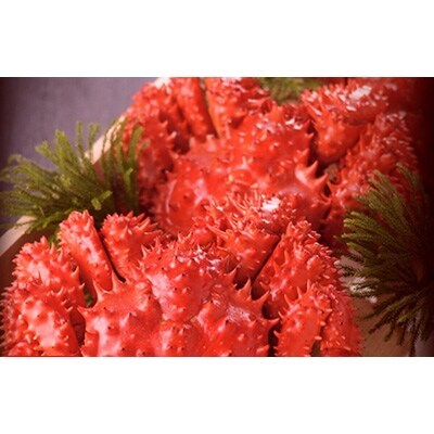 「新物」北海道産ボイル花咲がに2～3尾で約1.0kg F4F-0678