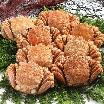 【浜茹で!】ボイル毛ガニ3.2kg 詰め(冷凍)8尾入り ふるさと納税 かに 蟹 F4F-5468