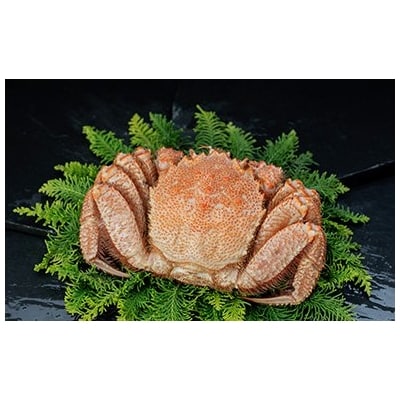 【浜茹で!】ボイル毛ガニ380g(冷凍)×1尾 毛がに カニ F4F-5338