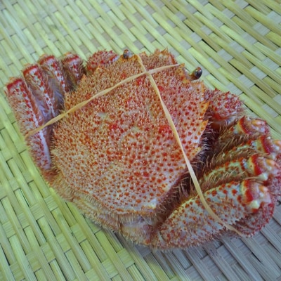 えぞバフンうに折60g ボイル毛がに380～400g F4F-5330