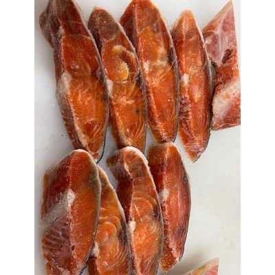 【訳あり】厚切り紅鮭14切れ 旨味抜群!! 北海道 釧路 ふるさと納税 鮭 紅鮭 F4F-4549