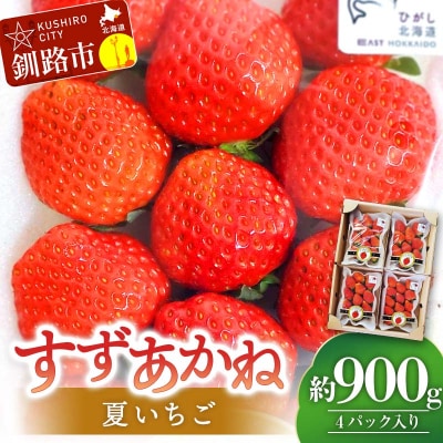 先行予約!【2026年6月末から順次発送】すずあかね(M～L) 約900g F4F-4623