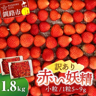 【 訳あり 】赤い妖精 1.8kg(小粒 1粒5～9g) 規格外 F4F-4624