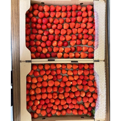 【 訳あり 】赤い妖精 1.8kg(小粒 1粒5～9g) 規格外 F4F-4624