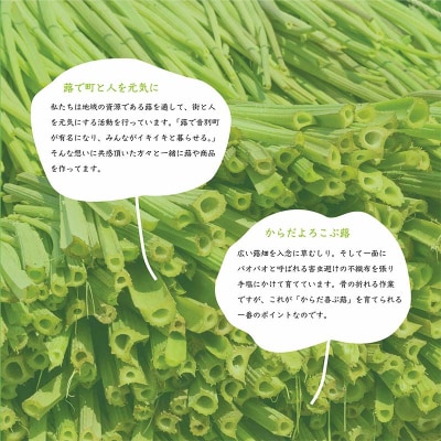 【6月中に順次発送】音蕗(おんぶき) 2kg 無農薬 蕗 フキ ふき F4F-4562