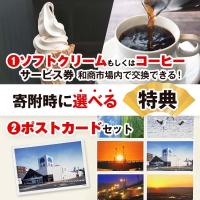 【特典付き】釧路和商市場 3,000円分 ポストカード 2枚セット F4F-4321