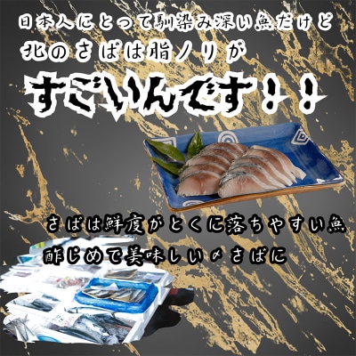 マルア阿部商店特選 北海道産〆さば半身 7枚入り さば サバ 真空パック F4F-7916