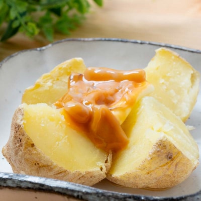 いかの塩辛 100g 4個セット 手作り イカ 酒の肴 酒 F4F-5084