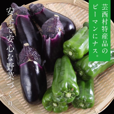 朝どれ! 野菜詰合せ【KPP030】