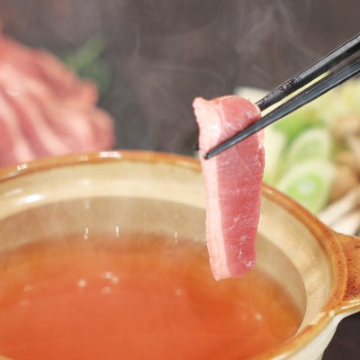 土佐鴨 ロース肉(スライス)300g×2P　計600g
