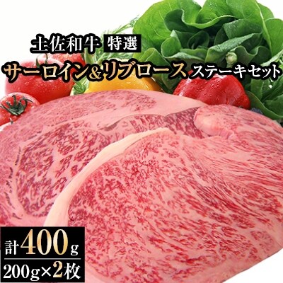 土佐和牛特選サーロイン&リブロースステーキ200g×2枚セット