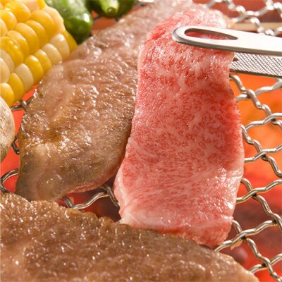 土佐和牛特選カルビ&やわらかもも焼肉セット400g 最高級A5ランク 高知県産
