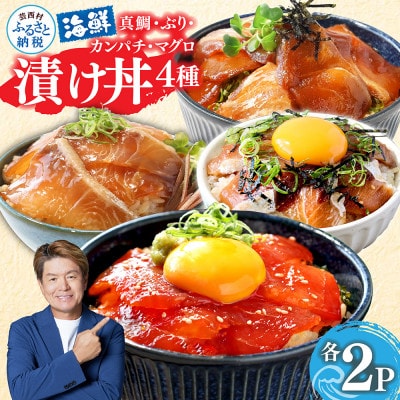高知の海鮮丼の素「4種×各2食セット」1食80g×8P【KYF118】
