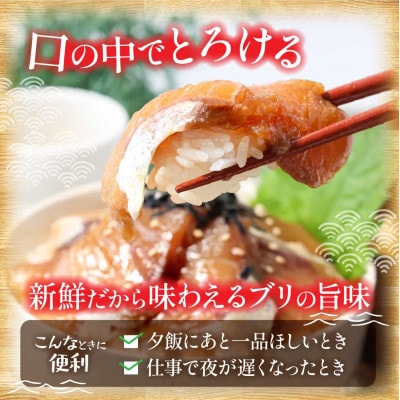 高知の海鮮丼の素「ブリの漬け」1食80g×10Pセット　【コロナ応援企画】【KYF121】