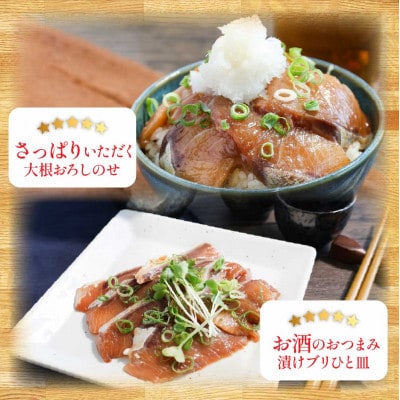 高知の海鮮丼の素「ブリの漬け」1食80g×10Pセット　【コロナ応援企画】【KYF121】