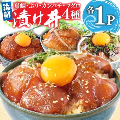 高知の海鮮丼の素「4種×各1食セット」1食80g×4P【KYF168】