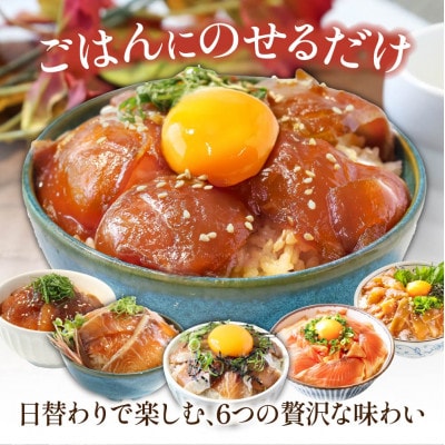 海鮮漬け丼6種(真鯛・ブリ・カンパチ・マグロ・サーモン・イカ)1食80g×各2パック【KYF176】