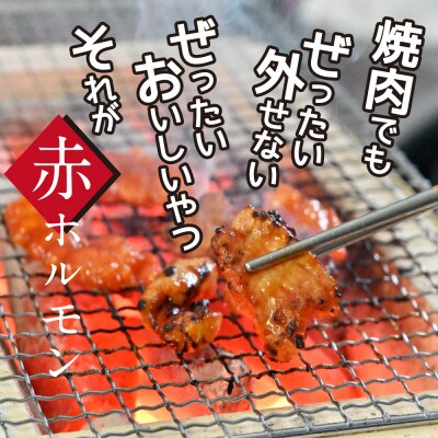赤ホルモン　天下味オリジナルコチュジャンダレ漬け【TKA003】