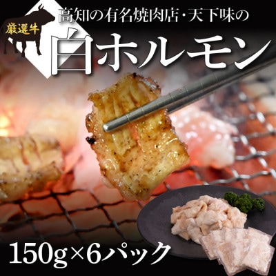 白ホルモン　天下味オリジナル塩ダレ漬け【TKA005】