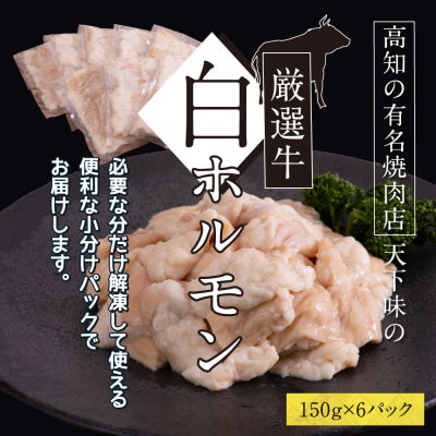 白ホルモン　天下味オリジナル塩ダレ漬け【TKA005】