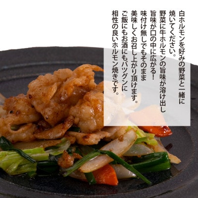 白ホルモン　天下味オリジナル塩ダレ漬け【TKA005】