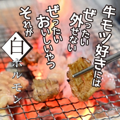 白ホルモン　天下味オリジナル塩ダレ漬け【TKA005】