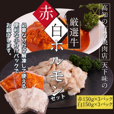 赤ホルモン&白ホルモンセット　天下味オリジナルコチュジャン・塩ダレ漬け【TKA007】