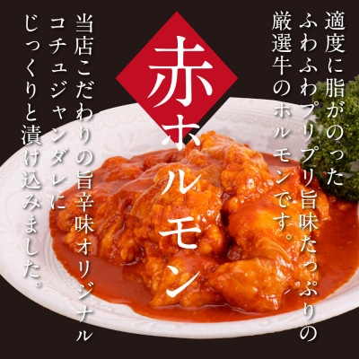 赤ホルモン&白ホルモンセット　天下味オリジナルコチュジャン・塩ダレ漬け【TKA007】