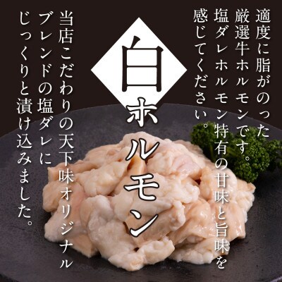 赤ホルモン&白ホルモンセット　天下味オリジナルコチュジャン・塩ダレ漬け【TKA007】