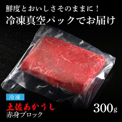 エイジング工法熟成肉土佐あかうし赤身ブロック300g(冷凍)【TKA097】