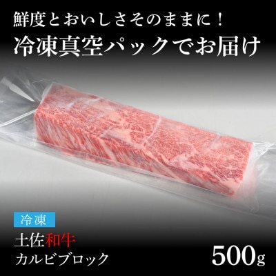 エイジング工法　熟成肉　土佐和牛　特選カルビブロック500g(冷凍)【TKA212】
