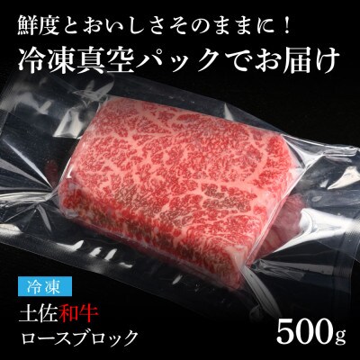 エイジング工法　熟成肉　土佐和牛　特選ロースブロック500g(冷凍)【TKA208】