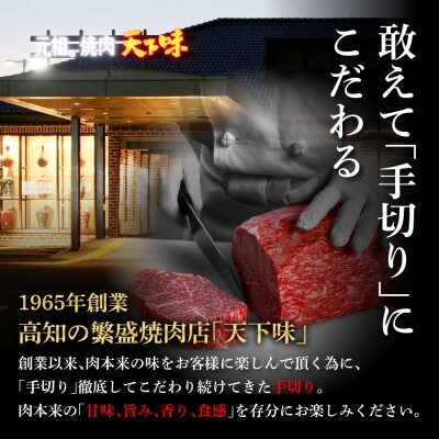 エイジング工法　熟成肉　土佐和牛　特選ヒレサイコロステーキ1kg(冷凍)【TKA220】