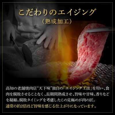エイジング工法　熟成肉　土佐和牛　特選ヒレサイコロステーキ1kg(冷凍)【TKA220】
