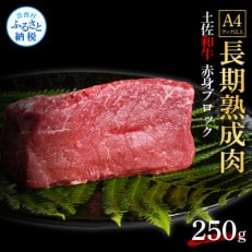 エイジング工法熟成肉土佐和牛特選赤身ブロック250g(冷凍)