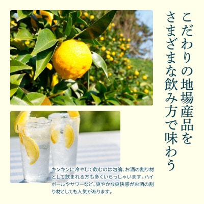 土佐山ゆずスカッシュ20本セット