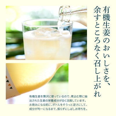 土佐山ジンジャエール辛口20本セット