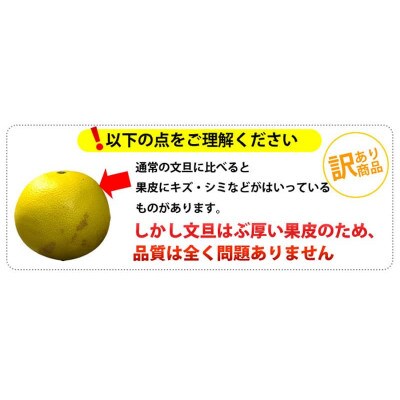 ワケあり土佐文旦(※シミ・キズあり)　5kg・サイズおまかせ【SKS026】