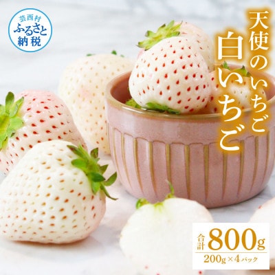 Berry農園　天使のいちご　白いちご【SKS047】