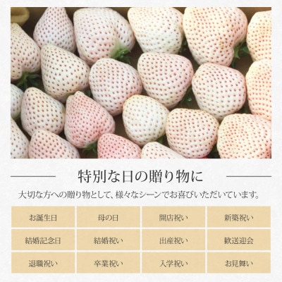 Berry農園　天使のいちご　白いちご【SKS047】