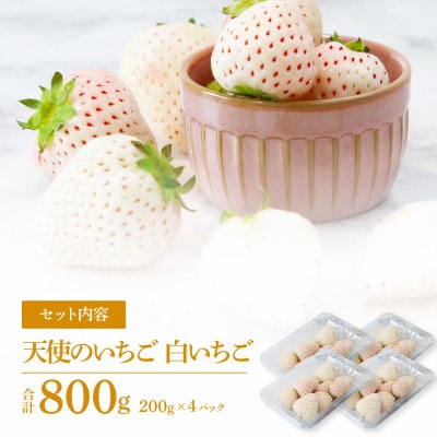 Berry農園　天使のいちご　白いちご【SKS047】