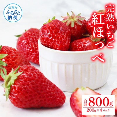 Berry農園　完熟赤いちご(紅ほっぺ)【SKS046】