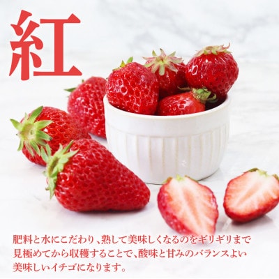 Berry農園　完熟赤いちご(紅ほっぺ)【SKS046】