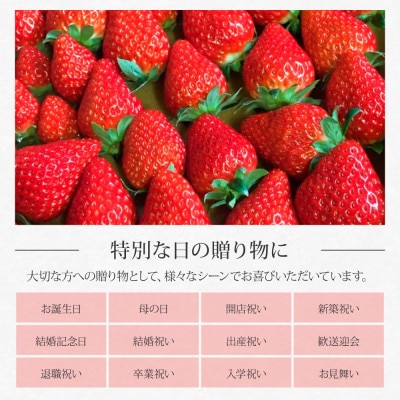 Berry農園　完熟赤いちご(紅ほっぺ)【SKS046】