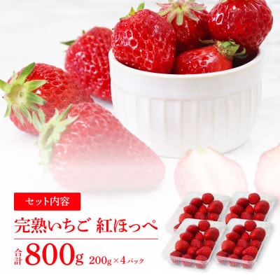 Berry農園　完熟赤いちご(紅ほっぺ)【SKS046】