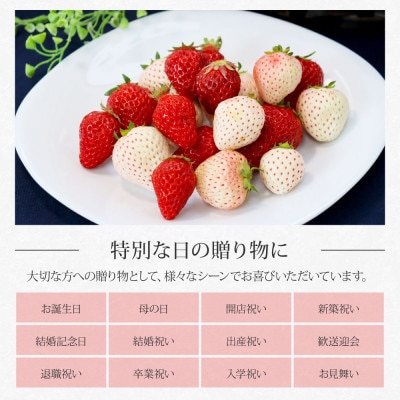 Berry農園　山本さんの紅白いちご【SKS033】