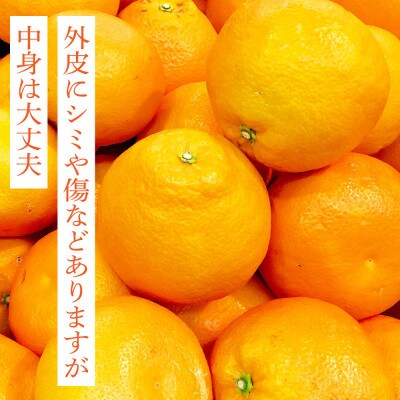 高知県産　ご家庭用ぽんかん(約5kg)【SKS027】